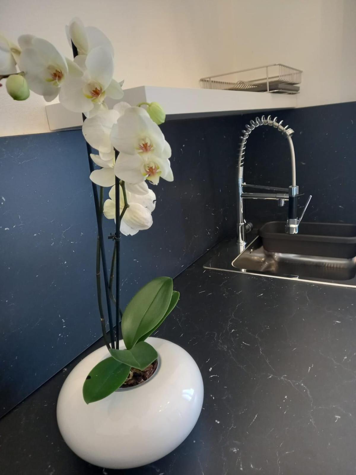Casa Porta Vescovo Verona Leilighet Eksteriør bilde